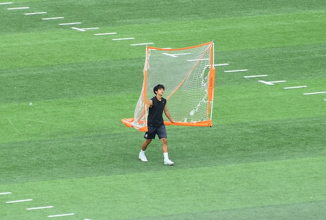 法甲